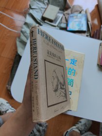 这是我的立场：改教先导马丁·路德传记