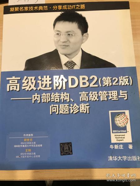 高级进阶DB2：内部结构、高级管理与问题诊断（第2版）