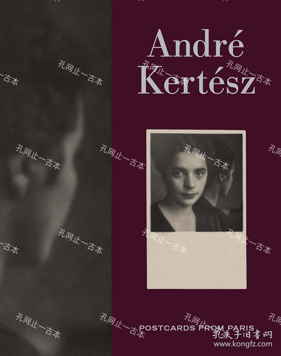 价可议 Andre Kertesz Postcards from Paris nmwznwzn