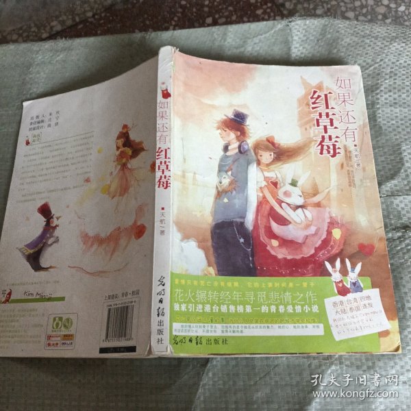 如果还有红草莓