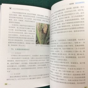 大豆玉米带状复合种植技术百问百答