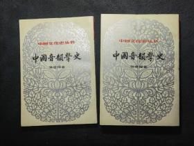 中国文化史丛书 《中国音韵学史，上下》