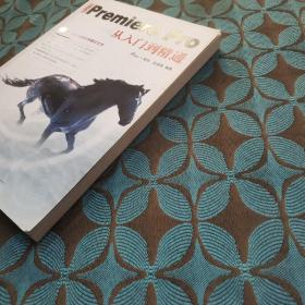 中文版Premiere Pro从入门到精通