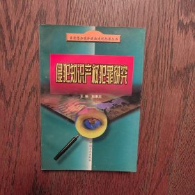 侵犯知识产权犯罪研究——当前惩治经济违法违纪犯罪丛书