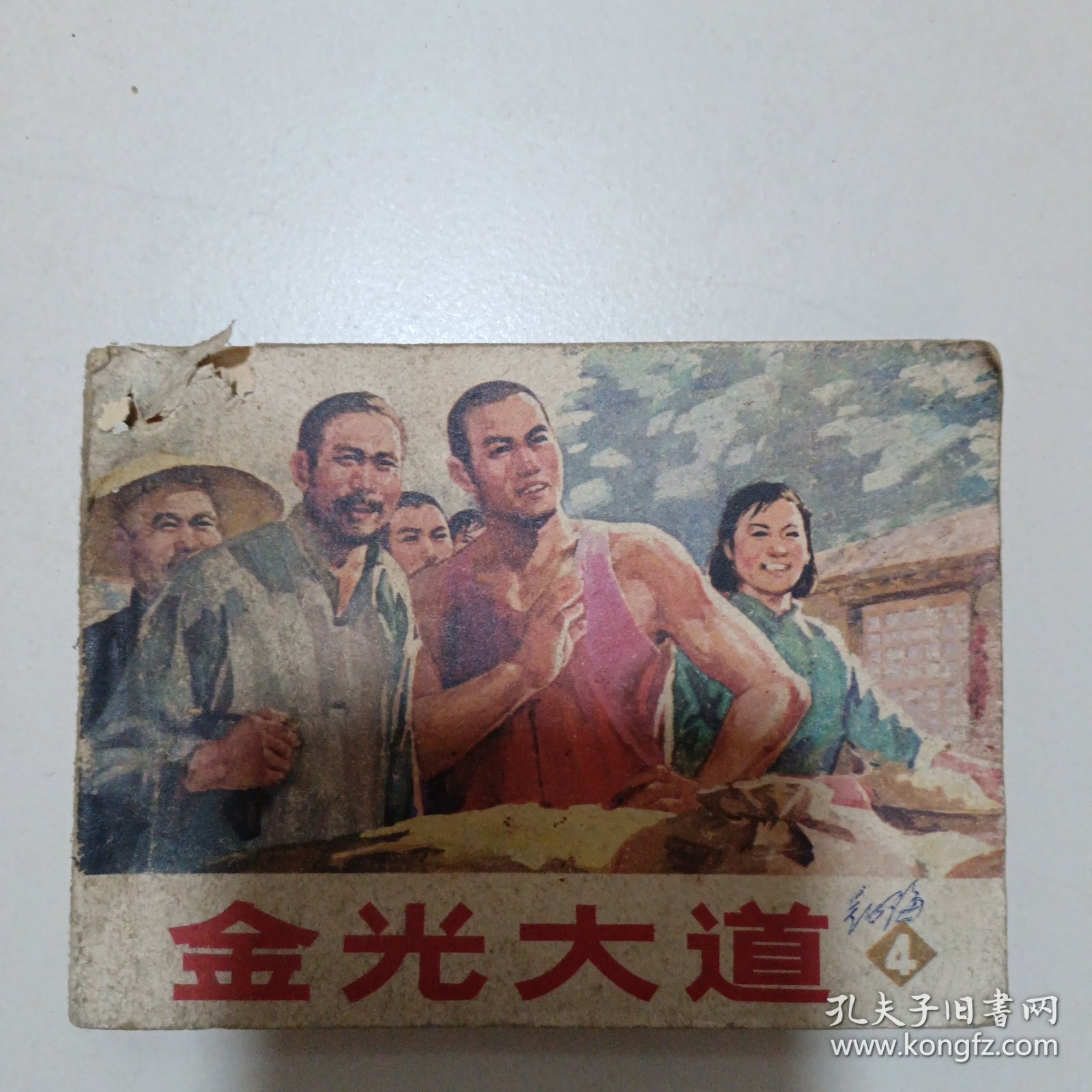 连环画：金光大道 4