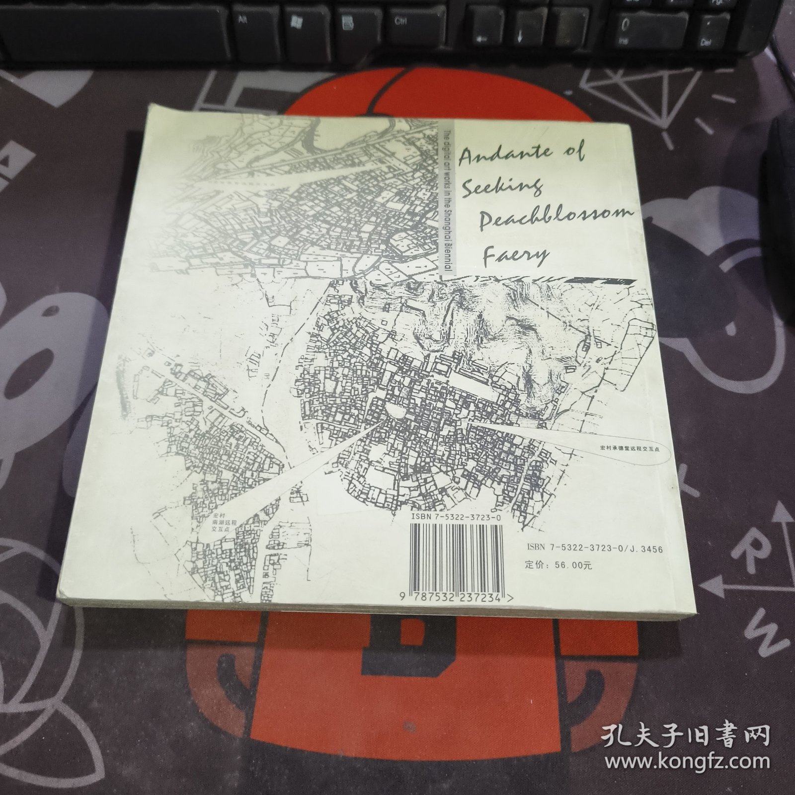 寻桃花源记:2002年上海双年展数码艺术作品:[摄影集]:[中英文本]（一版一印仅2000册）