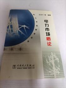 電力市場(chǎng)概論（電力市場(chǎng)研究叢書(shū)）