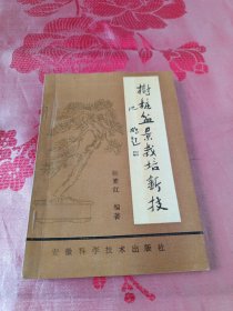 树桩盆景栽培新技