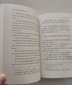 老人与海/经典畅销文学小说中英对照足本童话书·振宇书虫（英汉对照注释版）