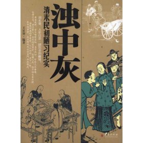濁中灰 王星智著 9787508064055 華夏出版社 2013-05-01 普通圖書/文學(xué)