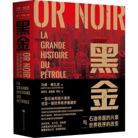 黑金 石油帝国的兴衰与世界秩序的改变 经济理论、法规 ()马修·奥扎诺