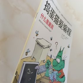 捣蛋猫爱编程-什么是漏洞