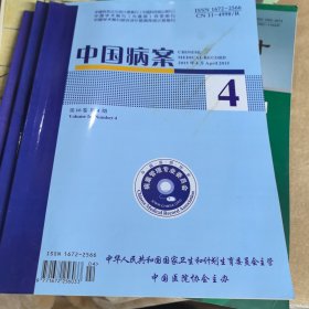 中国病例4