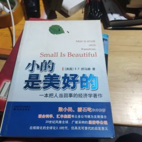 小的是美好的：一本把人当回事的经济学著作