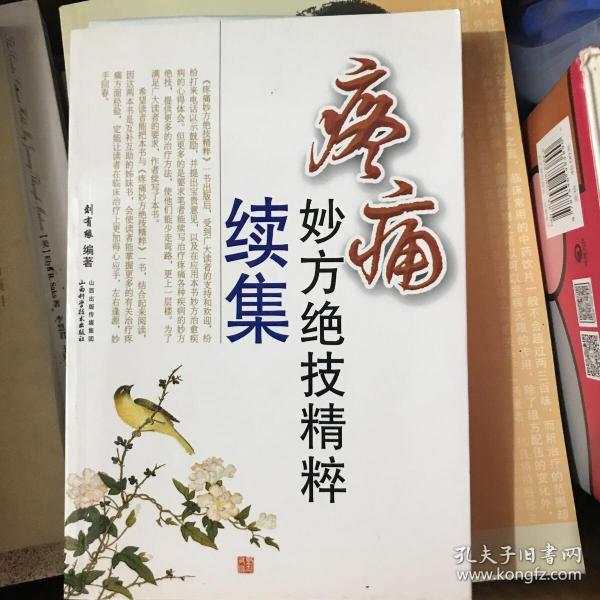 疼痛妙方绝技精粹续集