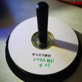运动系统解剖骨-关节VCD