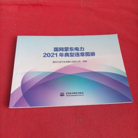 国网蒙东电力2021年典型违章图册