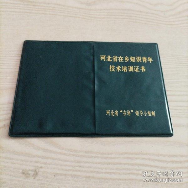 河北省在乡知识青年技术培训证书