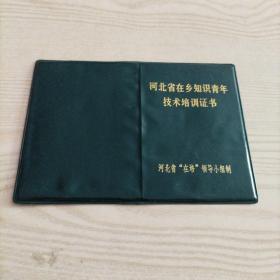 河北省在乡知识青年技术培训证书