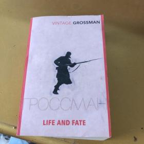 Life and Fate Vasily Grossman 生存与命运 英文版
