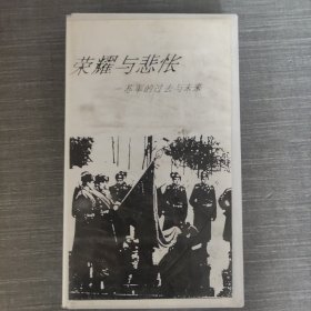 264录像带:荣耀与悲怅