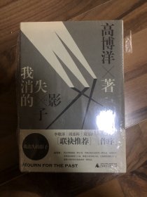 我消失的影子