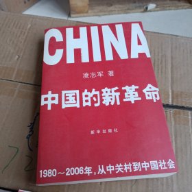 中国的新革命：1980-2006年，从中关村到中国社会