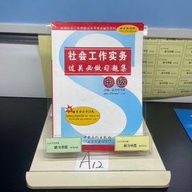 社会工作实务（中级）（过关必做习题集）