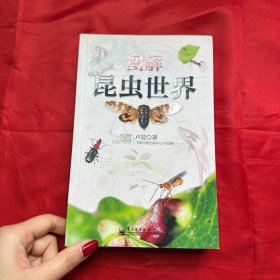 圖解昆蟲世界