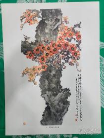 岭南赵少昂  画页  花鸟 8K。