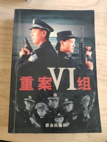 重案VI组