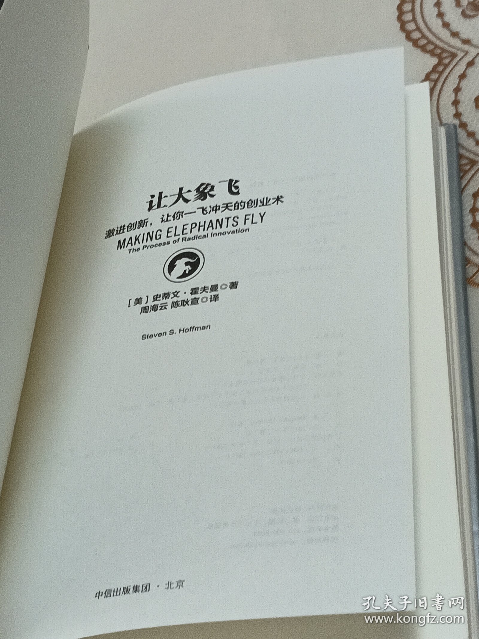 让大象飞:激进创新，让你一飞冲天的创业术