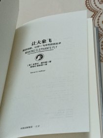 让大象飞:激进创新，让你一飞冲天的创业术