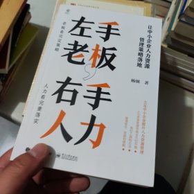 左手老板，右手人力——让中小企业人力资源管理策略落地