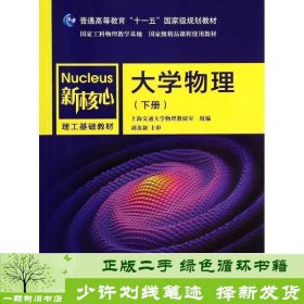 大学物理（下册）/普通高等教育“十一五”国家级规划教材·新核心理工基础教材