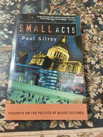 小行为 关于黑人文化政治的思考 Small Acts Thoughts on the politics of black cultures