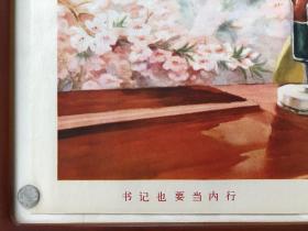 书记也要当内行（2开）