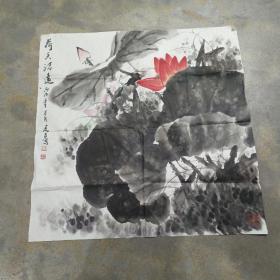 陈廷友荷花