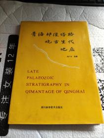 青海祁曼塔格晚古生代地层