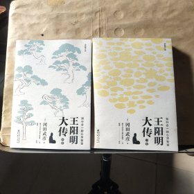 王阳明大传：知行合一的心学智慧（中下卷）共计2本