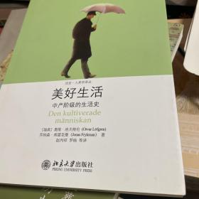 美好生活：中产阶级的生活史