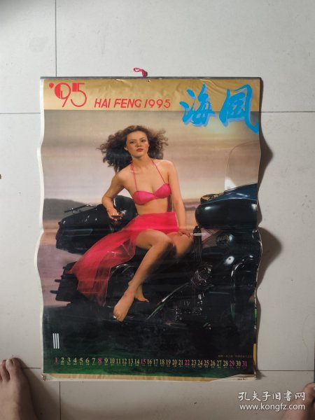 老挂历：1995 睡衣泳装美女摩托女郞 挂历 海风 【12张全】塑纸多网合售