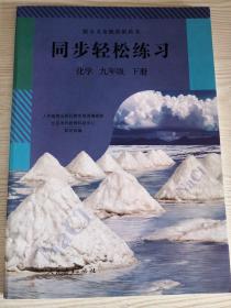 同步轻松练习. 化学. 九年级. 下册