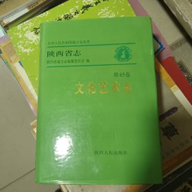 陕西省志文化艺术志
