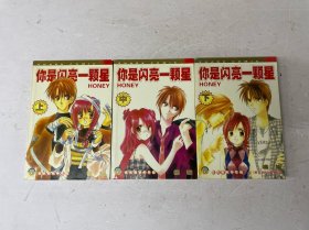 你是闪亮一颗星 全三册