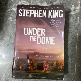 Under the Dome穹顶之下 英文原版