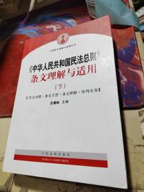 中华人民共和国民法总则 条文理解与适用（套装上下册）