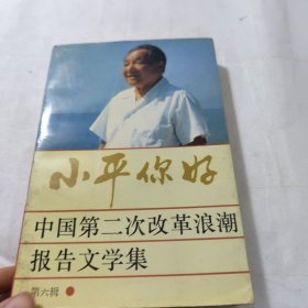 小平你好 中国第二次改革浪潮报告文学集 第三辑