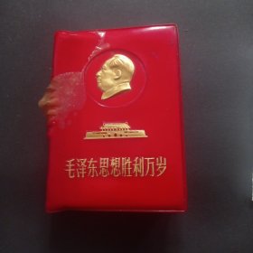 毛泽东思想胜利万岁（100开）