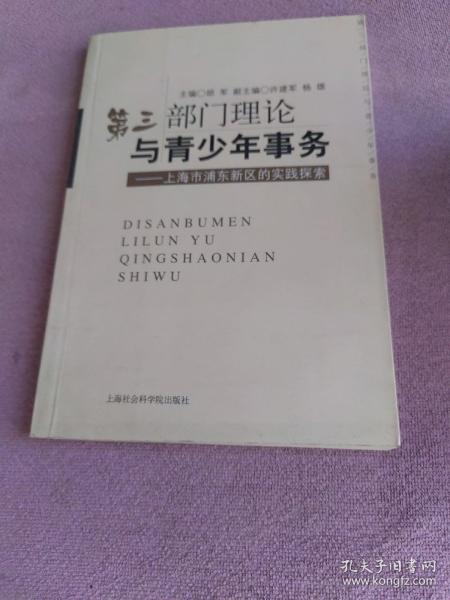 第三部门理论与青少年事务:上海市浦东新区的实践探索